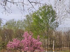 -东升八家郊野公园