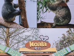 -红山森林动物园