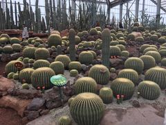 -南通洲际绿博园