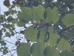 -眉山湿地公园(东坡区)