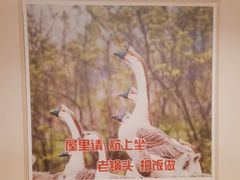 -锅老头海鲜铁锅炖