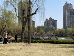 -新虹桥中心花园