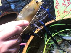 -79号渔船海鲜饭店(华强北店)