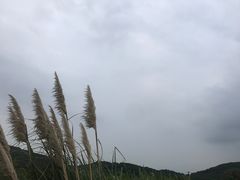 -平湖九龙山旅游度假区