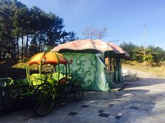 -济州岛泰迪熊博物馆