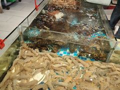 -南海底小海鲜·湘菜(鲁巷吴家湾店)