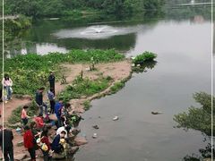 -重庆彩云湖湿地公园