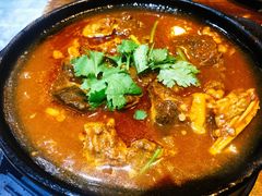 番茄牛肉-老姑砂锅·烧烤天津菜(体北道店)