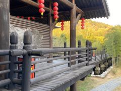 -大唐贡茶院