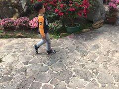 -南通洲际绿博园