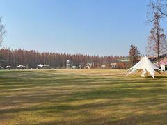 -黄海国家森林公园