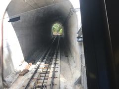 -神户市立六甲山牧场