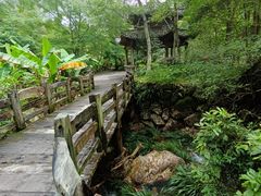-雁南飞茶田景区