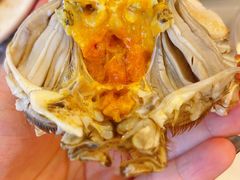 -黄记大闸蟹专卖店·活蟹·醉蟹
