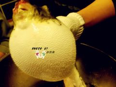 河鲀-天正河鲀·河豚亭(大连店)