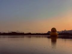 -深圳湾公园(南山区)