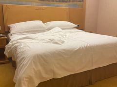 -维也纳国际酒店·深圳北站店