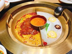 -豪渝火锅(红谷滩万达店)