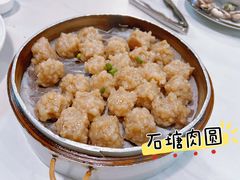-新楚记