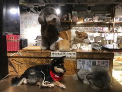 -more than meow吴止猫主题餐厅(承德 中船汇店)