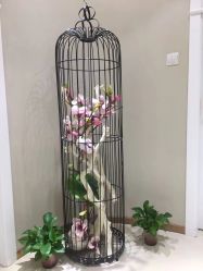 -樱木町·日式头皮管理中心