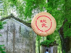 -杨家堂村