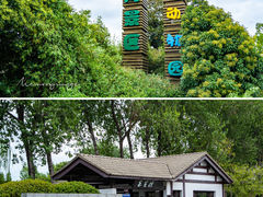 -扬州市茱萸湾风景区
