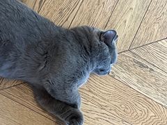 -Me Coffee下午茶艺术空间