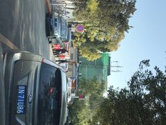 -中国中医科学院西苑医院(本部)