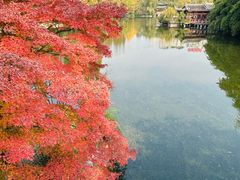 -棠湖公园