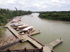 -东寨港红树林旅游区