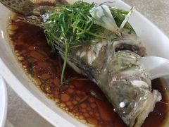 -丰宝源客家菜(常平店)