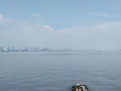 -海鸥岛