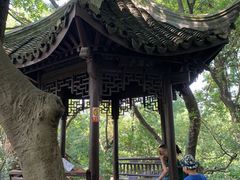 -绮园景区
