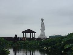 -荷塘月色湿地公园·向阳花洲