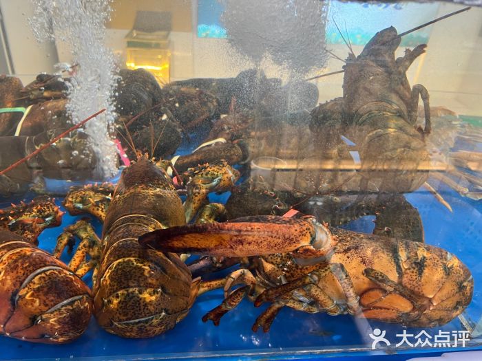 老刺参海鲜酒楼图片