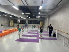 -舞蕾舞蹈(特长生校区)