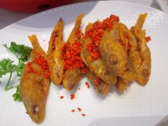-青禾小厨新疆菜(总店)