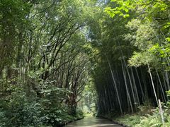 -同里国家湿地公园