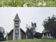 -成都保利公园皇冠假日酒店(熊猫基地店)