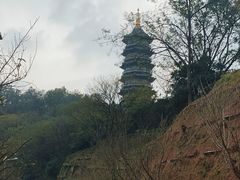 -重庆园博园