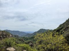 -大岭沟猕猴桃谷风景区