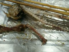 -亚东串烤(共康东路店)