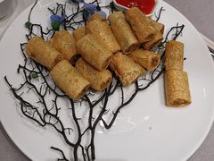 -张生记(丁香国际店)