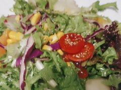 -雀舞云南菜(天津天河城购物中心店)