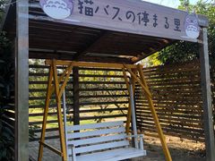 -前小桔亲子创意农场·草莓采摘·露营烧烤