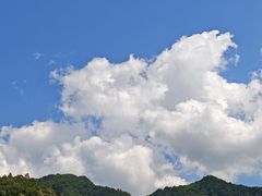 -沣峪口