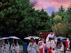 -青岛方特梦幻王国