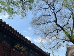 -白云观