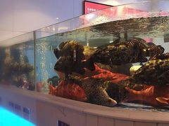 -金苑海鲜酒家(来魅力店)